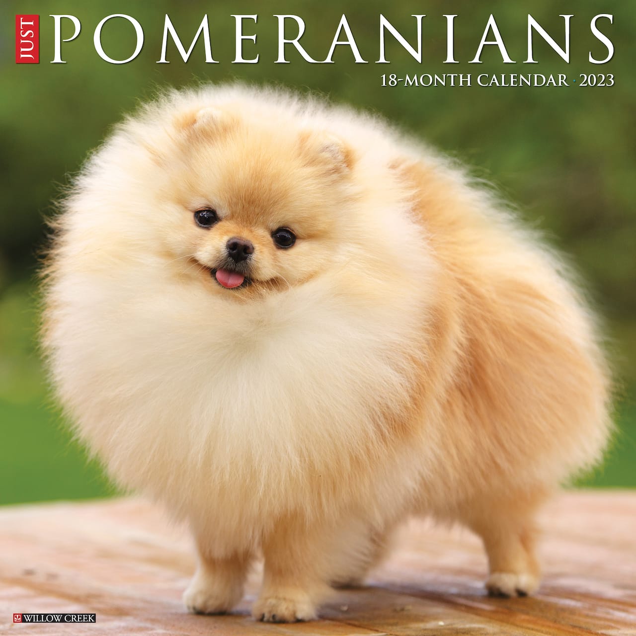 2023 Just Pomeranians Wall Calendar Michaels